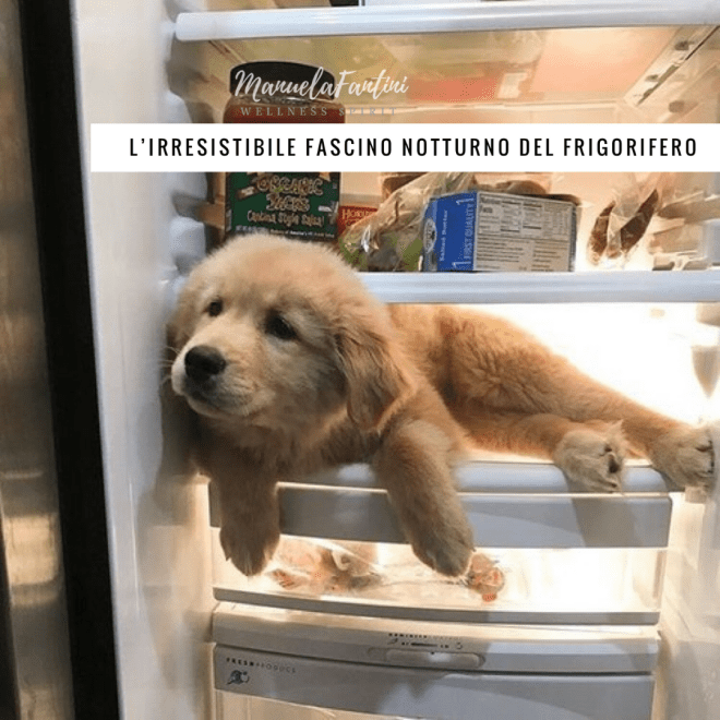 Cambiare vita online (1)